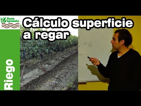 Optimización del Cálculo de Sectorización de Riego